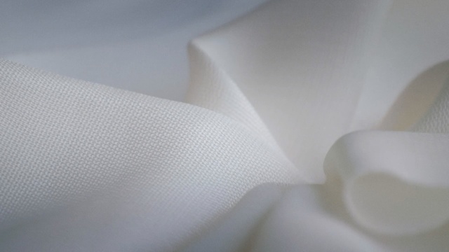 Video Reference: white, close up, petal, textile, material, flower, macro photography