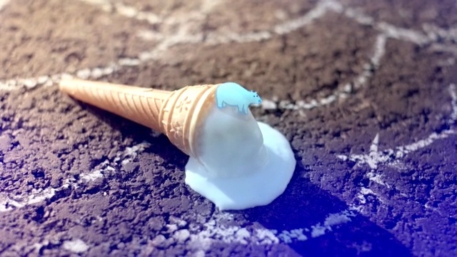 Video Reference: water, seashell