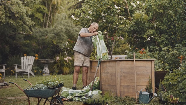 Video Reference: Wheelbarrow, Cart, Garden, Backyard, Yard, Tree, Plant, Vehicle