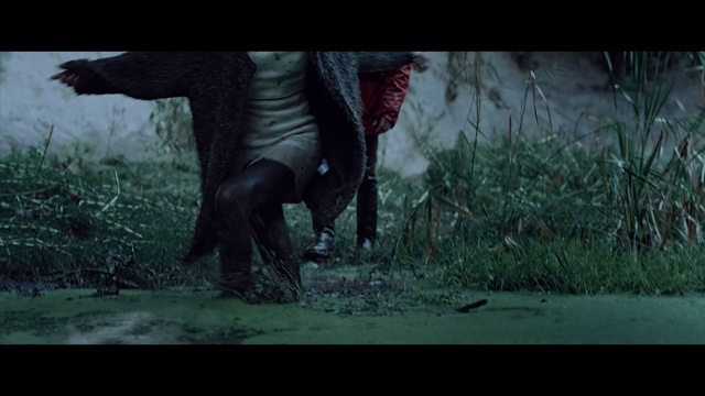 Video Reference: fauna, screenshot, wildlife, grass, darkness, tree, organism, computer wallpaper