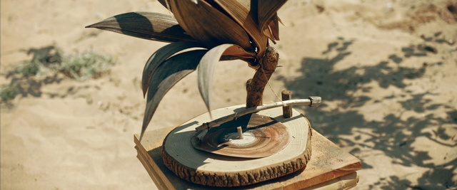 Video Reference: Feather, Illustration, Art, Outdoor, Table, Sitting, Wooden, Piece, Bird, Small, Bowl, Desert, Sand, Beach, Cake, Old, Bench, Board, Vase, White, Plate, Water, Red, Standing, Umbrella, Ground, Cartoon