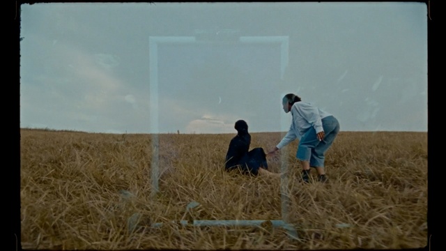 Video Reference: People in nature, Straw, Field, Crop, Agriculture, Grass, Plant, Adaptation, Wheat, Hay, Person