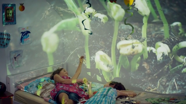 Video Reference: Adaptation, Organism, Fun, Tree, Room, Plant, Photography, World, Fawn, Fictional character, Person
