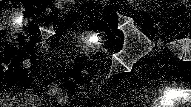 Video Reference: Black, Black-and-white, Monochrome photography, Monochrome, Illustration, Design, Tree, Pattern, Sky, Photography