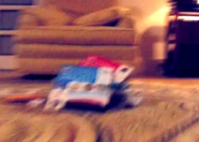 Video Reference: Toy vehicle, Model car, Toy, Radio-controlled car, Vehicle, Car, Person, Indoor, Sitting, Small, Bed, Laptop, Blurry, Computer, Room, Dog, Living, Cat, Woman, Laying, Man, Blur