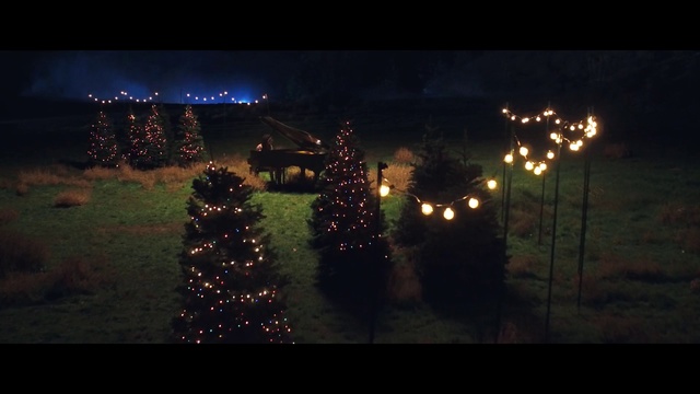 Video Reference: Night, Darkness, Lighting, Light, Street light, Sky, Midnight, Christmas lights, Electricity, Reflection