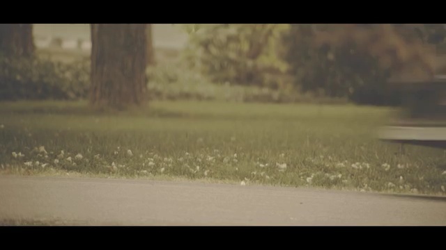 Video Reference: water, morning, grass, tree, sunlight, rain