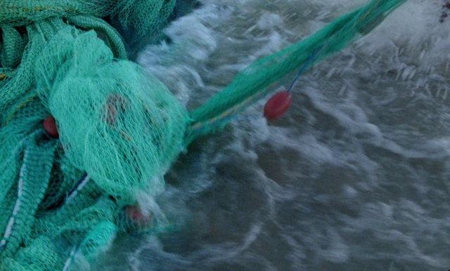 Video Reference: Green, Fishing net, Net, Water, Thread, Knitting, Fishing, Wool, Recreation, Textile