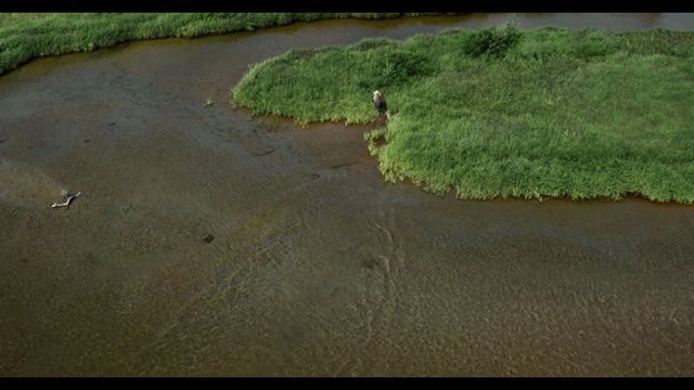 Video Reference: Water resources, Nature, Water, Natural landscape, Natural environment, Watercourse, Bank, Grass, River, Floodplain, Outdoor, Sitting, Dirt, Small, Green, Large, Made, Man, Grassy, Riding, Field, Street, Standing, Walking, Track, Cake, Train, Board, White, Sheep, Plant