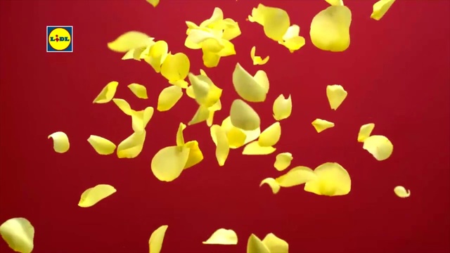 Video Reference: Yellow, Font, Petal, Cuisine