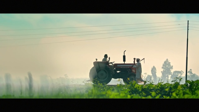 Video Reference: green, grass, field, morning, sky, tree, sunlight, grassland, landscape, stock photography