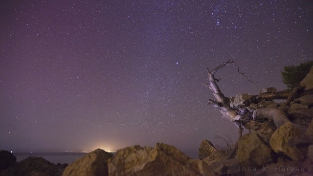 Video Reference: sky, atmosphere, night, geological phenomenon, star, tree, astronomical object, landscape, darkness, space