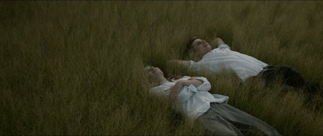 Video Reference: Grass, Human, Painting, Nap, Photography, Plant, Art, Romance, Portrait, Gesture