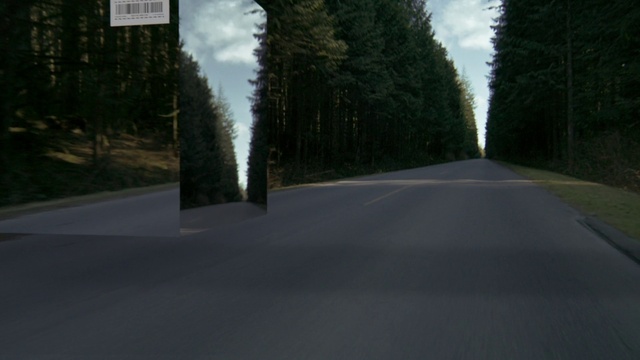 Video Reference: Sky, Cloud, Plant, Road surface, Natural landscape, Asphalt, Grass, Tar, Evergreen, Landscape