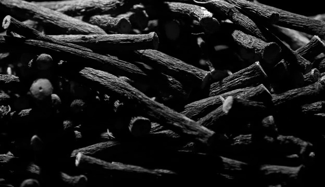 Video Reference: black, black and white, monochrome photography, darkness, photography, monochrome, still life photography, organism, metal, computer wallpaper