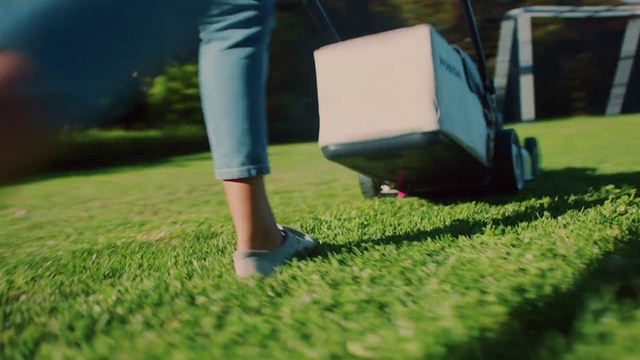 Video Reference: Lawn, Grass, Green, Lawn mower, Mower, Grass family, Plant, Grassland, Outdoor power equipment, Leisure