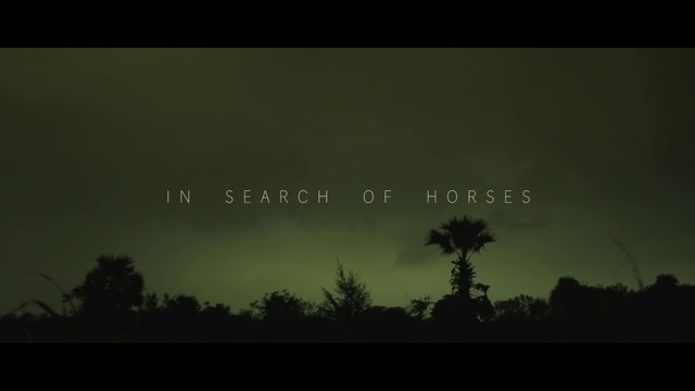 Video Reference: Sky, Nature, Black, Atmospheric phenomenon, Darkness, Tree, Atmosphere, Morning, Night, Biome