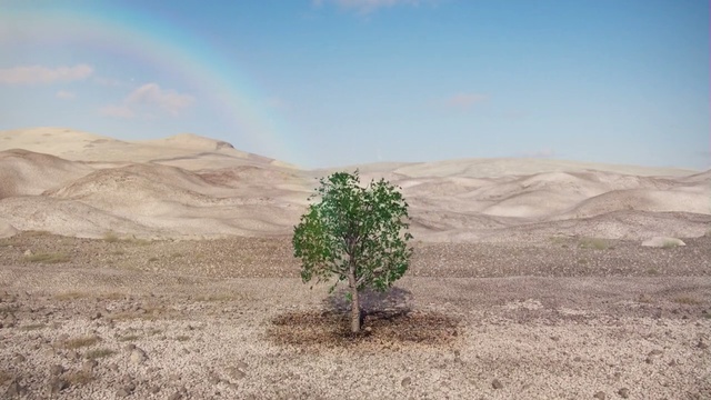 Video Reference: ecosystem, sky, desert, aeolian landform, ecoregion, landscape, steppe, tree, cloud, shrubland