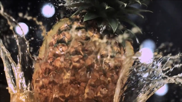 Video Reference: organism, tree, computer wallpaper, space, Person