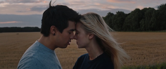 Video Reference: emotion, interaction, sky, love, romance, kiss, girl, sunlight, fun, grass family