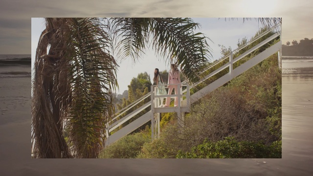 Video Reference: tree, bridge, water, wood, fixed link