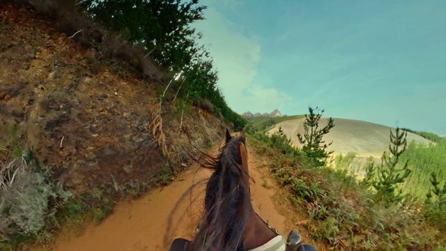 Video Reference: Dirt road, Trail, Road, Geological phenomenon, Infrastructure, Tree, Thoroughfare, Grass, Soil, Path