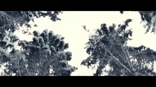 Video Reference: sky, nature, black, black and white, tree, atmosphere, monochrome photography, geological phenomenon, photography, cloud