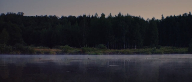 Video Reference: lake, water, forest, lakeside, landscape, shore, tree, swamp, river, trees
