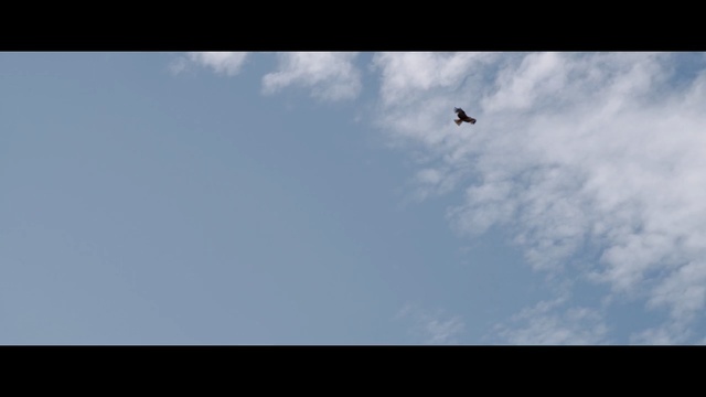 Video Reference: sky, cloud, atmosphere, daytime, flight, cumulus, air sports, meteorological phenomenon, bird, air travel