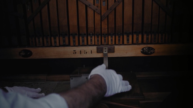 Video Reference: Hand