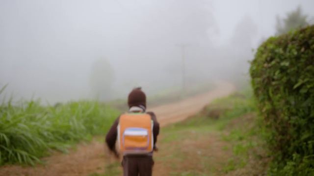 Video Reference: Nature, Atmospheric phenomenon, Mist, Fog, Grass, Morning, Haze, Hill station, Rural area, Grassland