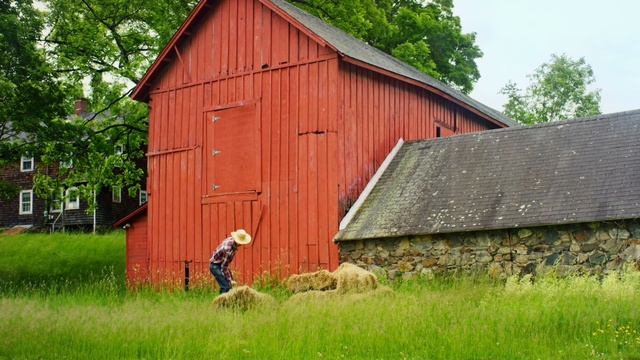 Video Reference: barn, shed, grass, farm, house, rural area, wood, hut, tree, shack