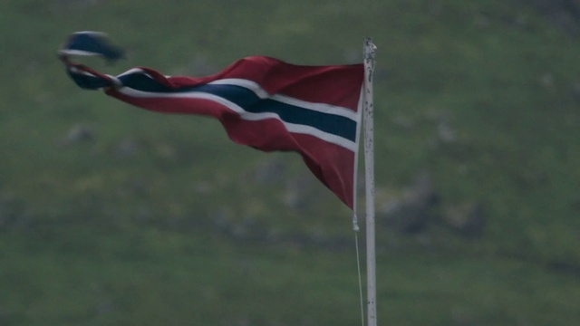 Video Reference: Flag