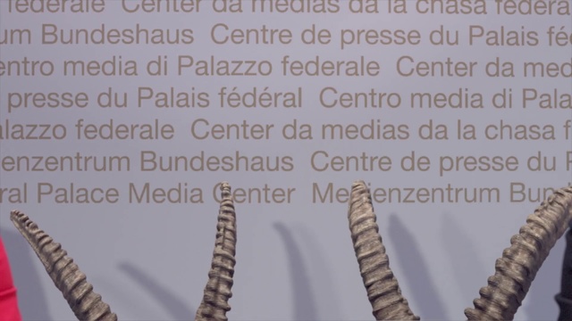 Video Reference: Text, Font, Organism, Adaptation, Plant, Metal