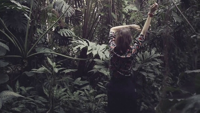 Video Reference: Jungle, Natural environment, Forest, Rainforest, Tree, Plant, Old-growth forest, Adaptation, Woodland, Valdivian temperate rain forest, Holding, Standing, Woman, Palm, Young, Front, Flower, Man, Girl, Cat, Phone, Playing, Room, Umbrella, Mammal