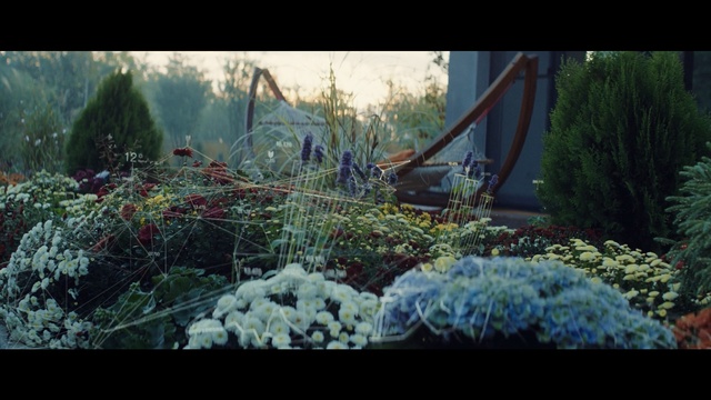 Video Reference: Nature, Vegetation, Garden, Natural environment, Organism, Wilderness, Leaf, Plant, Tree, Jungle