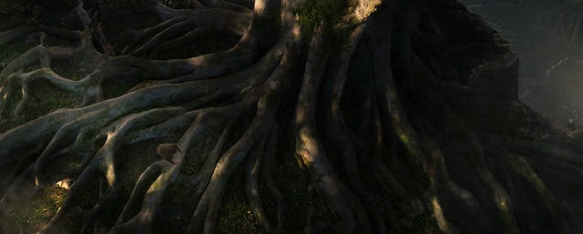 Video Reference: tree, woody plant, forest, darkness, geological phenomenon, sunlight, old growth forest, trunk, computer wallpaper, screenshot
