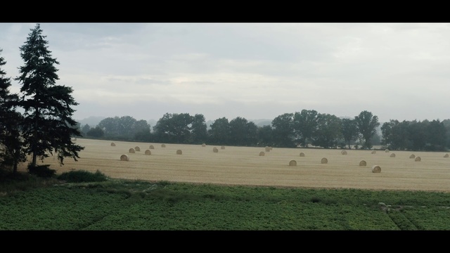 Video Reference: Nature, Sky, Atmospheric phenomenon, Tree, Pasture, Natural environment, Cloud, Natural landscape, Land lot, Plain