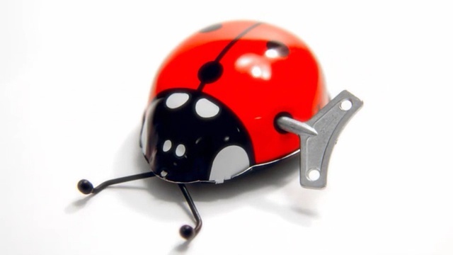 Video Reference: Ladybug, Insect, Beetle, Helmet, Wind-up toy, Invertebrate, Person
