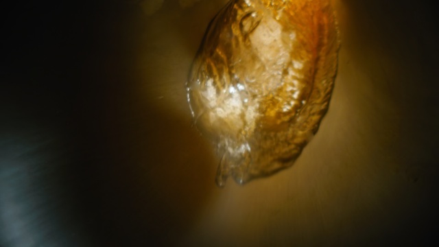 Video Reference: Water, Light, Yellow, Lighting, Close-up, Amber, Sky, Macro photography, Sunlight, Organism, Person