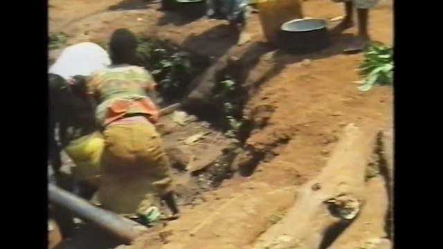 Video Reference: soil, geological phenomenon, tree, mud, plant, Person