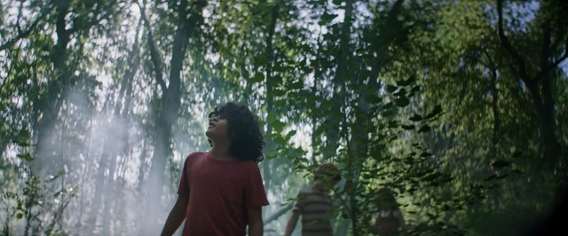 Video Reference: People in nature, Nature, Photograph, Tree, Natural environment, Green, Atmospheric phenomenon, Forest, Sunlight, Water