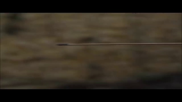 Video Reference: Black, Nature, Atmosphere, Brown, Sky, Darkness, Wood, Atmospheric phenomenon, Line, Horizon