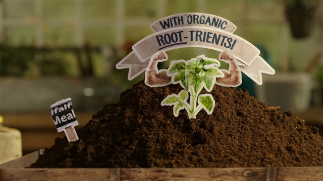 Video Reference: Soil, Plant, Herb, Compost