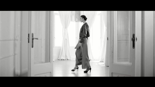 Video Reference: photograph, white, clothing, black, black and white, dress, monochrome photography, standing, day, photography