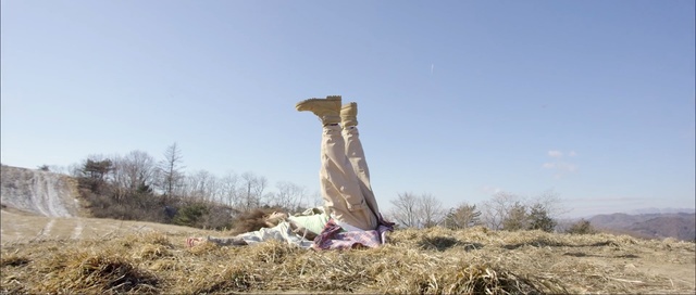 Video Reference: sky, tree, ecoregion, grass family, rock, grass