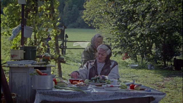 Video Reference: Recreation, Grass, Tree, Adaptation, Table, Picnic, Meal, Leisure, Garden, Lunch