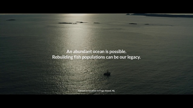 Video Reference: Water, Horizon, Calm, Sea, Text, Ocean, Sky, Water resources, Atmosphere, Photography