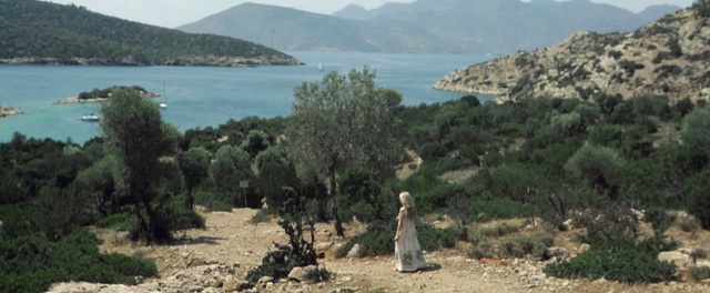 Video Reference: vegetation, nature reserve, ecosystem, tree, wilderness, lake, biome, coast, shrubland, plant community