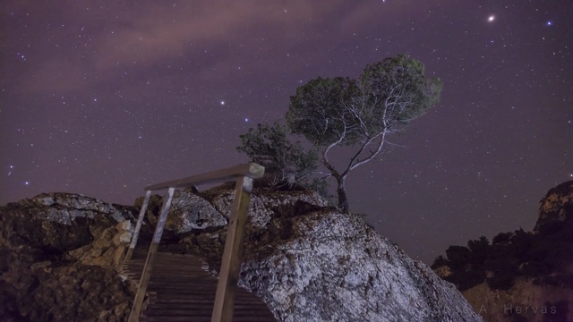 Video Reference: sky, nature, tree, night, atmosphere, star, darkness, snow, winter, astronomical object
